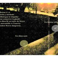 4 2 strategie organisationnelle 1 0 3 chien vorace