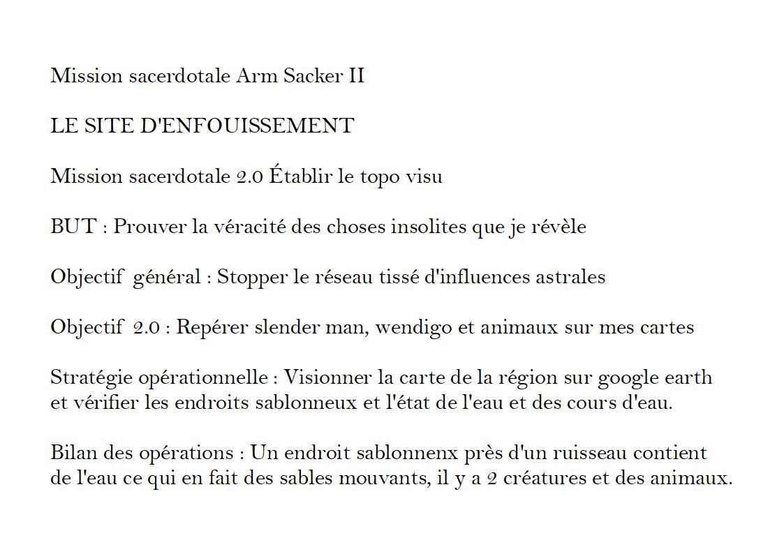 Strategie operationnelle 2 0