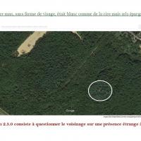 Strategie organisationnelle 2 3 0 b