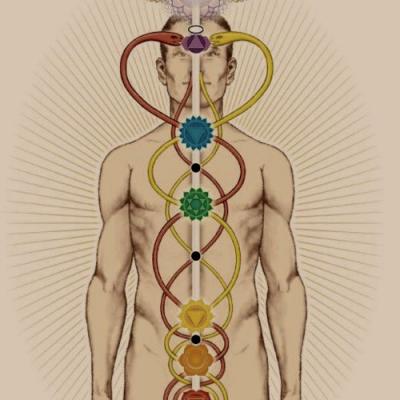 07 serpents of the kundalini
