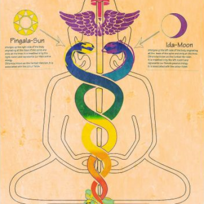 08 les meridiens et la couronne