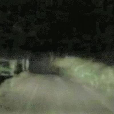 1 dogman most dangerous1