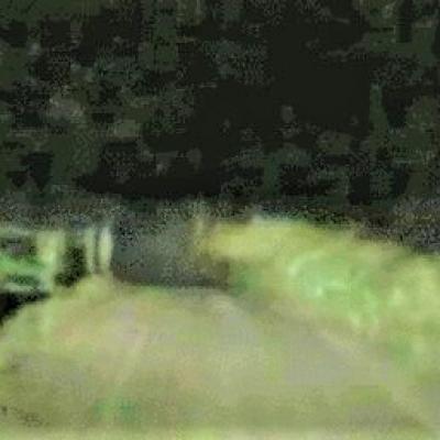 1 dogman most dangerous2