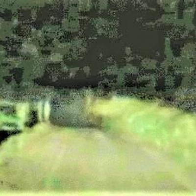 1 dogman most dangerous3