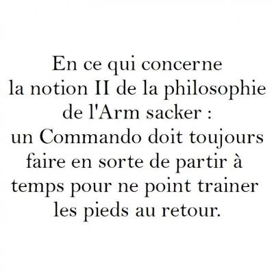 Arm sacker II mission