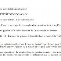 1 1 strategie operationnelle 1 1