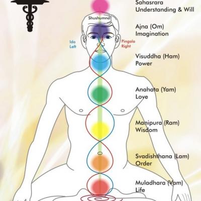 17 seven chakras