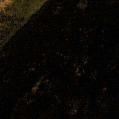 2018 6 27 boucherie 30 novembre 2018