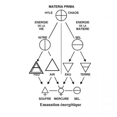 5 arbre de vie arbrorescente
