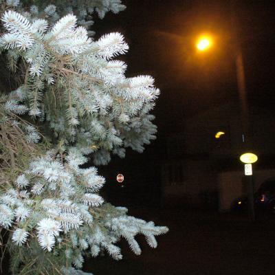 5e yves arpin 4 sept 18