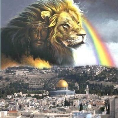 A 6fe6dd923d5001ac82dbabe4a1f33 lion pictures bible pictures
