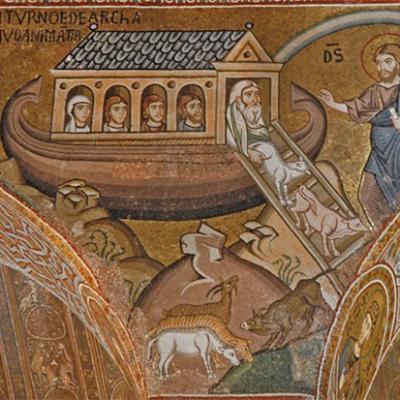 A noe arcenciel 688po