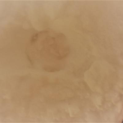 Atracegriffesparen dessous