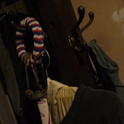 B p1030124fleau reporter 02