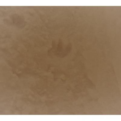 Bastrategie operationnelle 1 3 1 c