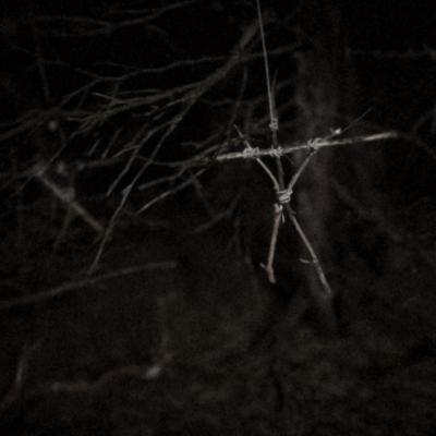 Blair witch