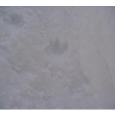 Bstrategie operationnelle 1 3 1 b