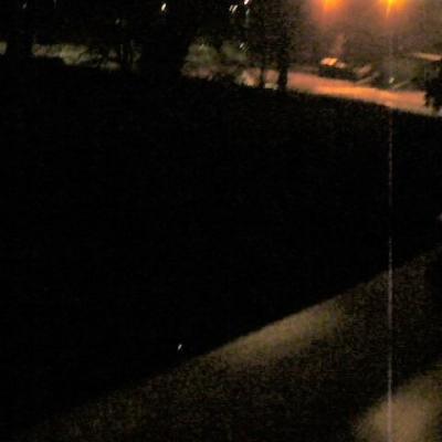 Chien vorace debut novembre 2 p1020270