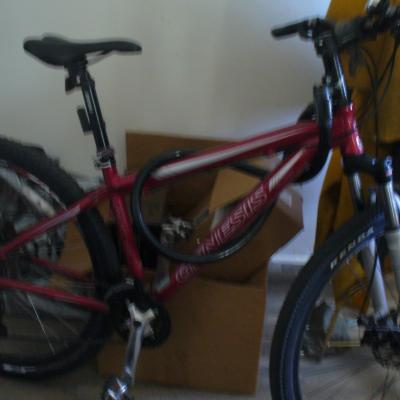 Commando velo de cote