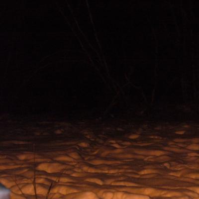 Cpresdelamunicipalite