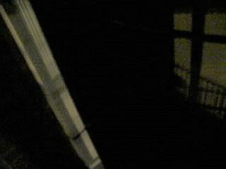 D p1030253il y a quelqu un derriere la grille