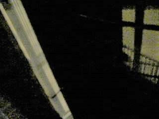 D p1030255il y a quelqu un derriere la grille 1