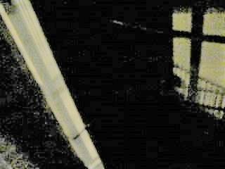 D p1030255il y a quelqu un derriere la grille 2