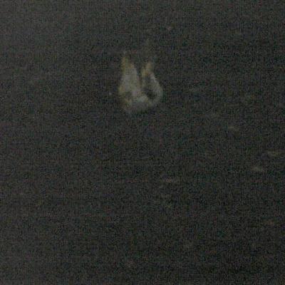 Dans mon appartement par la fenetre h