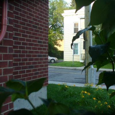 Dd voisin devant dorion b