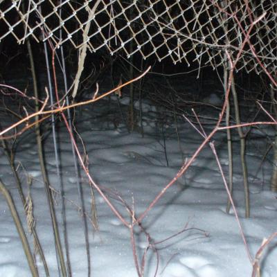 Derrierelapoudriere 02