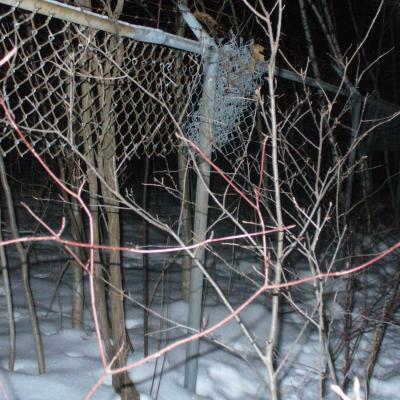 Derrierelapoudriere 03