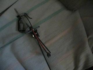 G p1030082piege a ours 02