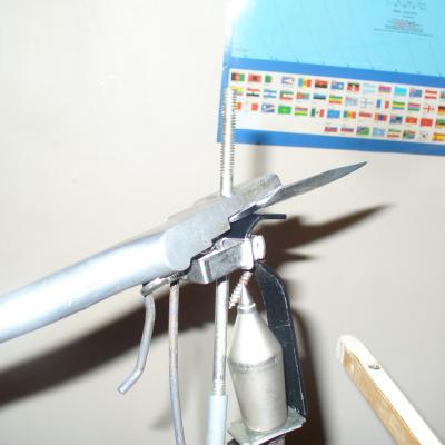 H p1030249piege a ours 04