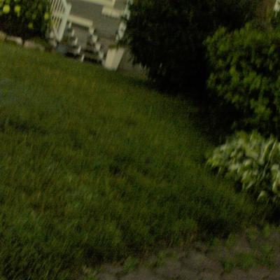 K cour arriere voisine 185 dorion a