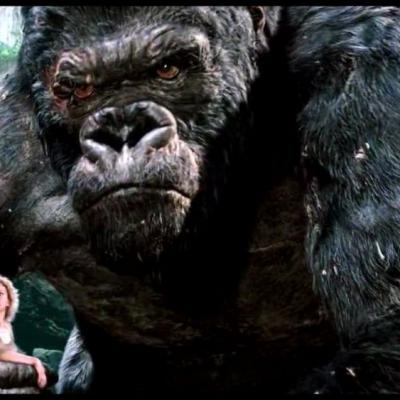 King kong
