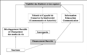 Ktaayla baie dambodivahibe madagascar19