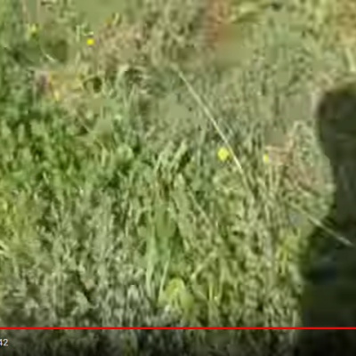 Lieux abandonne mysterieux big foot4