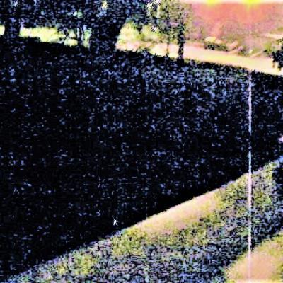 Main slender man dompte chien assis a