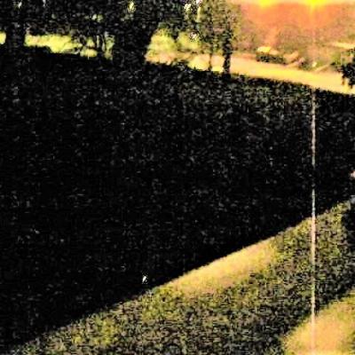 Main slender man dompte chien assis