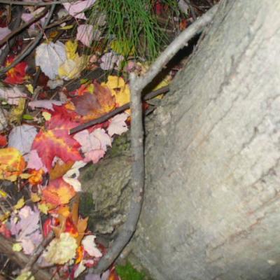 Mission 1 2 2 0 prise terrain 1