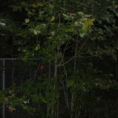 Mission 1 2 4 masque theatre3