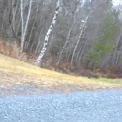 Mission 3 3 0 c grosse tete d ourse