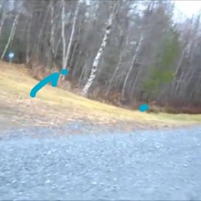 Mission 3 3 0 e grosse mere ourse et son ourson li