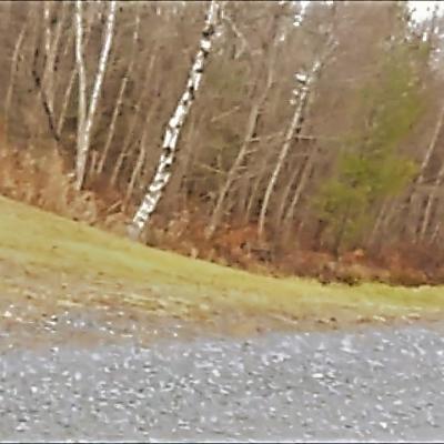 Mission 3 3 0 grosse tete d ourse fatiguee