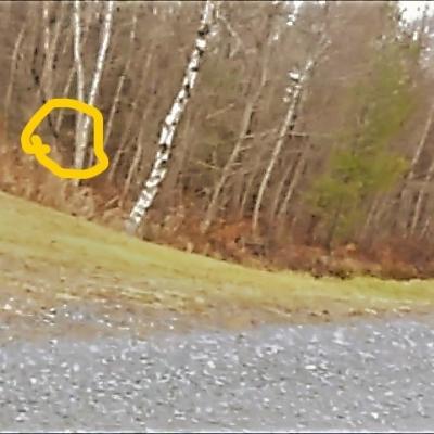 Mission 3 3 0 la bete de rome est fatiguee