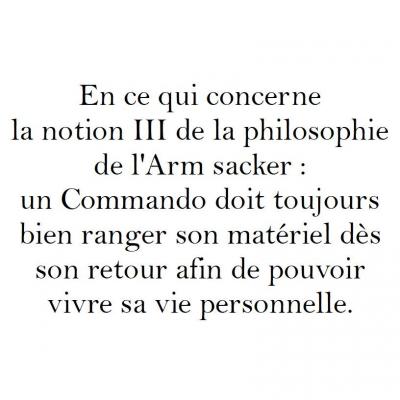 Arm sacker III mission