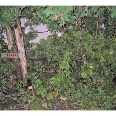 Mission sacerdotale 4 4 b