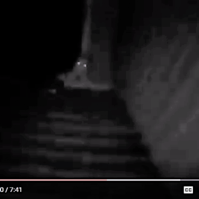 Monstre rake skinwalker sighting 15 1