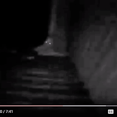 Monstre rake skinwalker sighting 16 1