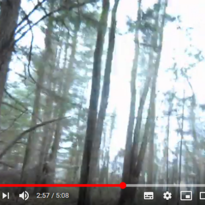 Npromenade dans un parc de sentiers boises a drummondville danger